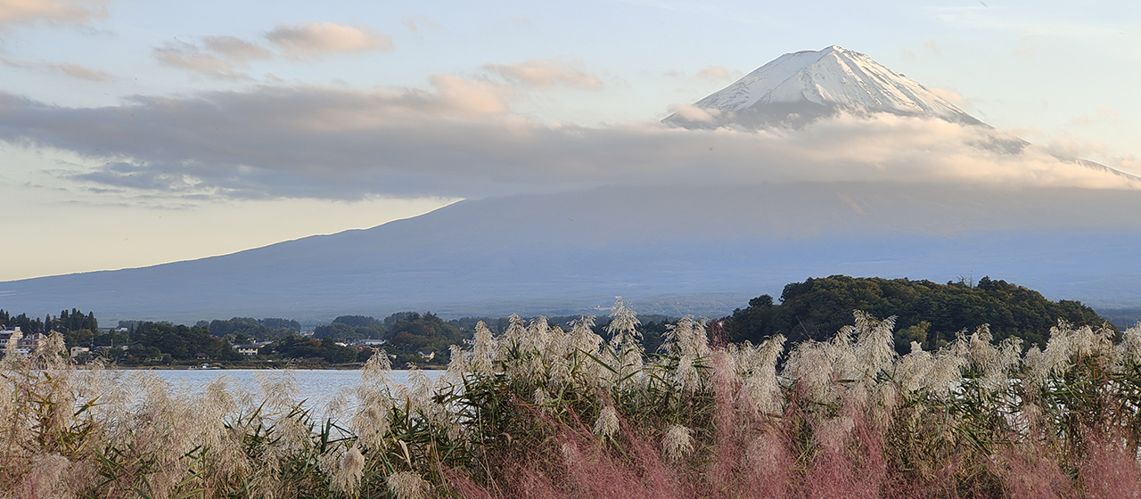 Japón.